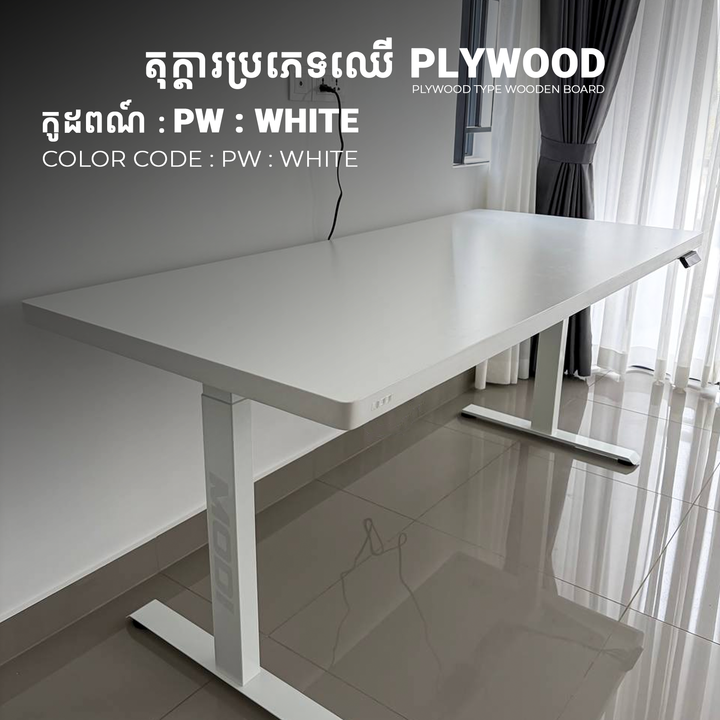 Full Set Price Plywood TableTop & Auto Desk 